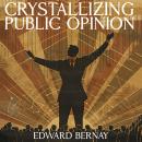 Crystallizing Public Opinion Audiobook