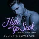 Hide And Go Seek: An Enemies To Lovers Romance Audiobook