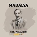 [Turkish] - Madalya Audiobook