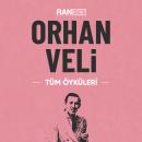 [Turkish] - Orhan Veli Tüm Öyküleri Audiobook