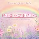 Emergency Healing: A Guided Meditation Audiobook