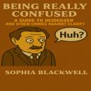 Being Really Confused: A Guide to Heidegger and Other Crimes Against Clarity Audiobook