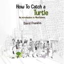 How to Catch a Turtle: An Introduction to Mindfulness Audiobook