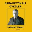 [Turkish] - Sabahattin Ali Öyküler Audiobook