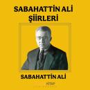 [Turkish] - Sabahattin Ali Şiirleri Audiobook