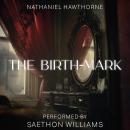 The Birth-Mark Audiobook