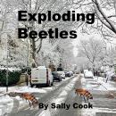 Exploding Beetles Audiobook