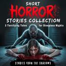 Short Horror Stories Collection. 3 Terrifying Tales for Sleepless Nights: A Bone-Chilling Audio Dram Audiobook