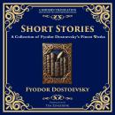 Short Stories: The Dark Corners of the Human Soul Audiobook