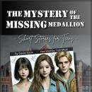 The Mystery of the Missing Medallion: Short Stories for Teens Audiobook