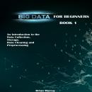 Big Data for Beginners: An Introduction to the Data Collection, Storage, Data Cleaning and Preproces Audiobook