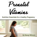 Prenatal Vitamins: Nutrition Essentials for a Healthy Pregnancy Audiobook