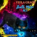 Stealth Magic 401 Audiobook