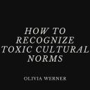 How to Recognize Toxic Cultural Norms Audiobook