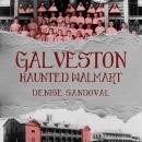 Galveston Haunted Walmart Audiobook