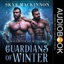 Guardians of Winter Audiobook