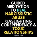 Guided Meditation To Heal Narcissistic Abuse, Gaslighting, Codependency & Toxic Relationships Audiobook