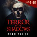 Short Horror Stories Anthology: Terror in the Shadows Volumes 1 - 18: Scary Ghosts, Paranormal & Sup Audiobook