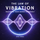 The Law of Vibration: Mastering Your Energy Frequency: Micro Book - B15 (Mastering the Universal Law Audiobook