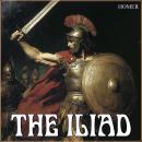 The Iliad Audiobook