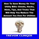 How To Save Money On Your Utility Bills: Cheats, Hacks, Hints, Tips, And Tricks That Will Help You R Audiobook