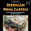 Mexican Drug Cartels: Their Origins, Their Background, and Their Conflicts Audiobook