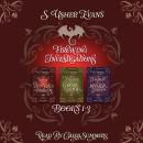 Firewing Investigations Books 1-3 Audiobook