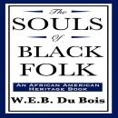 The Souls of Black Folk Audiobook
