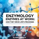 Enzymology: Enzymes at Work How They Drive Life's Processes Audiobook