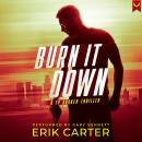 Burn It Down: A Ty Draker Action Thriller Audiobook