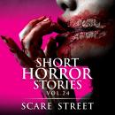Short Horror Stories Vol. 24: Scary Ghosts, Monsters, Demons, and Hauntings Audiobook