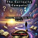 The Curiosity Compass: Letting Wonder Guide Your Growth Audiobook