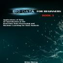 Big Data for Beginners: Applications of Data. An Introduction to the Real-Time Data Processing and M Audiobook