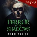 Short Horror Stories: Terror in the Shadows Volumes 7 - 9: Scary Ghosts, Paranormal & Supernatural M Audiobook