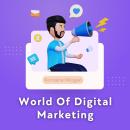 World Of Digital Marketing Audiobook