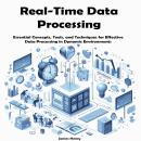 Real-Time Data Processing: Essential Concepts, Tools, and Techniques for Effective Data Processing i Audiobook