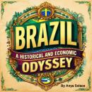 Brazil: A Historical and Economic Odyssey Audiobook