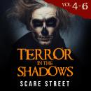 Short Horror Stories: Terror in the Shadows Volumes 4 - 6: Scary Ghosts, Paranormal & Supernatural M Audiobook