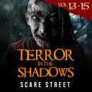 Short Horror Stories: Terror in the Shadows Volumes 13 - 15: Scary Ghosts, Paranormal & Supernatural Audiobook