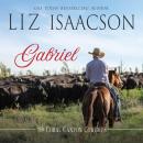 Gabriel: A Young Brothers Novel Audiobook