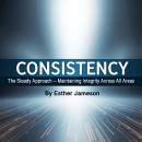 Consistency: The Steady Approach - Maintaining Integrity Across All Areas Audiobook