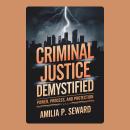 Criminal Justice Demystified: Power, Process, and Protection Audiobook