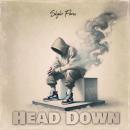 Head Down Audiobook