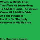 What Is A Midlife Crisis, The Effects Of Succumbing To A Midlife Crisis, The Various Causes Of A Mid Audiobook