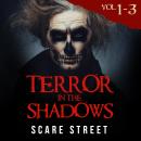 Short Horror Stories: Terror in the Shadows Volumes 1 - 3: Scary Ghosts, Paranormal & Supernatural M Audiobook