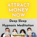Attract Money Now Deep Sleep Hypnosis Meditation Audiobook