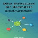 Data Structures for Beginners: Mastering the Building Blocks of Efficient Data Management Audiobook