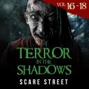Short Horror Stories: Terror in the Shadows Volumes 16 - 18: Scary Ghosts, Paranormal & Supernatural Audiobook