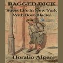Ragged Dick Audiobook