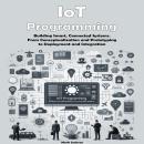 IoT Programming: Building Smart, Connected Systems. From Conceptualization and Prototyping to Deploy Audiobook